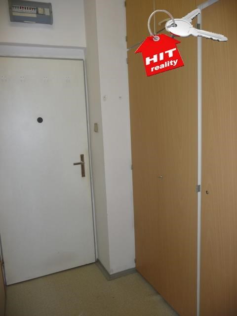 Pronájem bytu 1+1, 39 m2, Plzeň Slovany