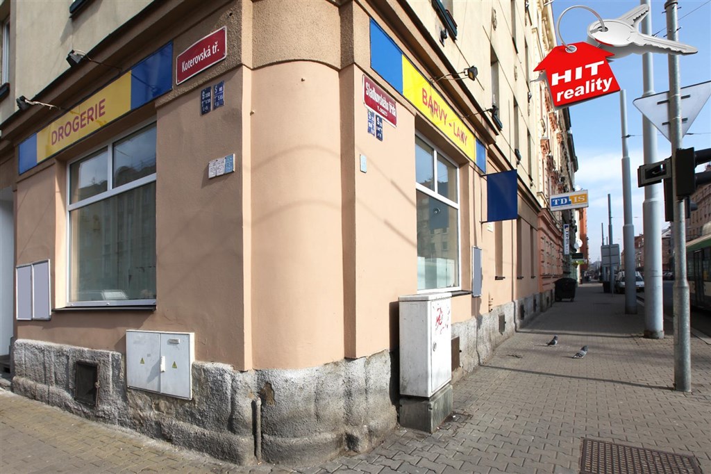 Pronájem komerčních prostor v Plzni
