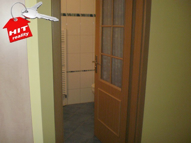 Pronájem rekonstruovaného bytu 2 + kk v Plzni
